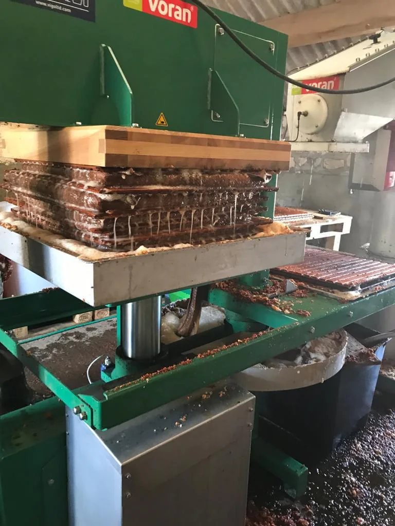 Cider pressing at King Brain's Little Weston Farm cider house